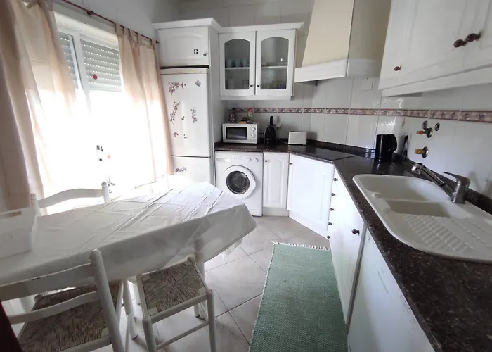 Sweet Coral Do Vau Rch I * 포티마오